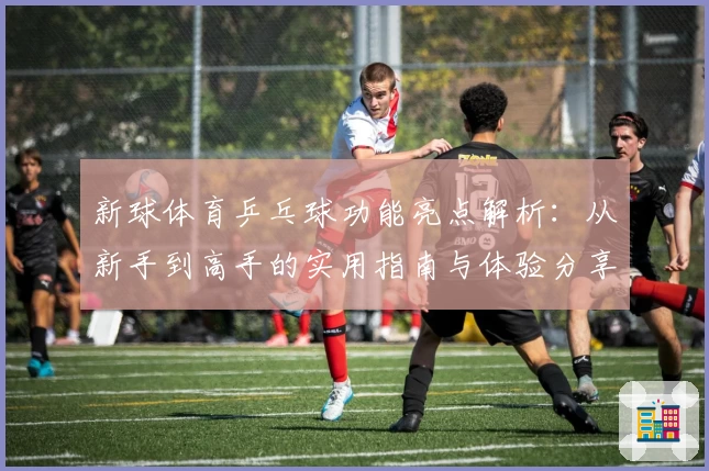 新球体育乒乓球功能亮点解析：从新手到高手的实用指南与体验分享