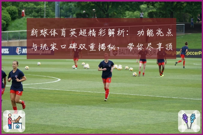 新球体育英超精彩解析：功能亮点与玩家口碑双重揭秘，带你尽享顶级赛事魅力