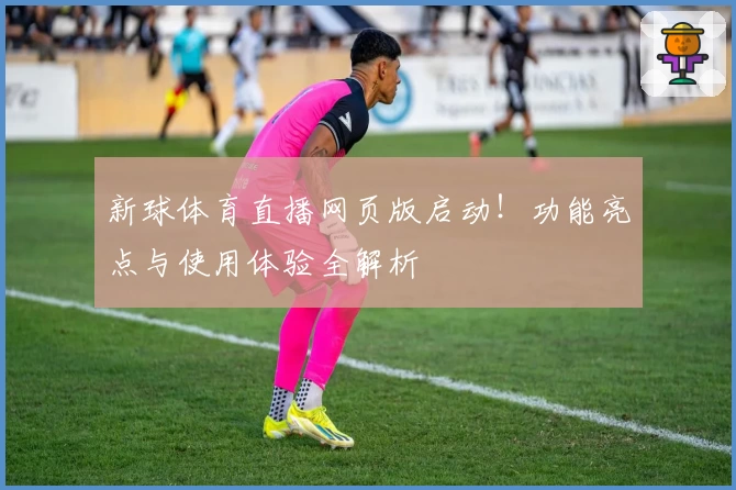 新球体育直播网页版启动！功能亮点与使用体验全解析