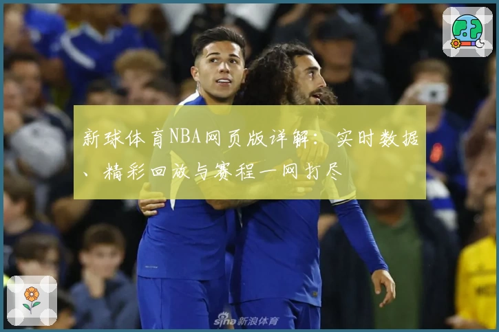 新球体育NBA网页版详解：实时数据、精彩回放与赛程一网打尽