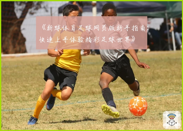 《新球体育足球网页版新手指南：快速上手体验精彩足球世界》